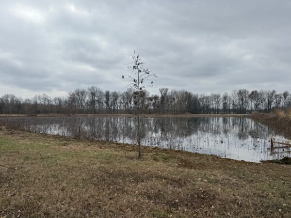 IMG_1287 21.17+/- ACRES IN TWO TRACTS - HOME-POND-BUILDING SITE