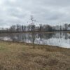 IMG_1288 21.17+/- ACRES IN TWO TRACTS - HOME-POND-BUILDING SITE