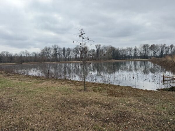 IMG_1288 21.17+/- ACRES IN TWO TRACTS - HOME-POND-BUILDING SITE