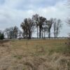 IMG_1295 21.17+/- ACRES IN TWO TRACTS - HOME-POND-BUILDING SITE