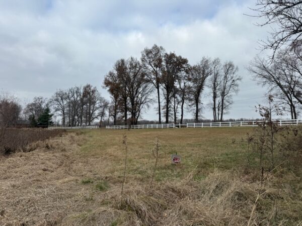 IMG_1295 21.17+/- ACRES IN TWO TRACTS - HOME-POND-BUILDING SITE