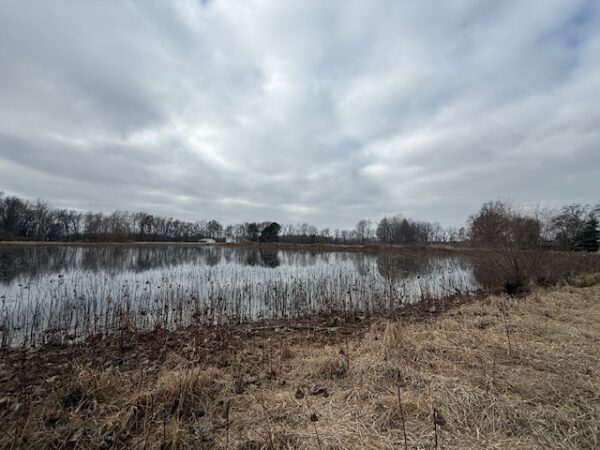 IMG_1296 21.17+/- ACRES IN TWO TRACTS - HOME-POND-BUILDING SITE