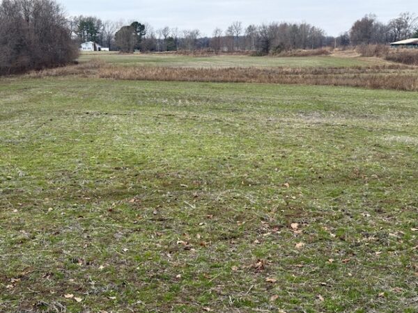 IMG_1301 21.17+/- ACRES IN TWO TRACTS - HOME-POND-BUILDING SITE