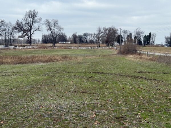 IMG_1302 21.17+/- ACRES IN TWO TRACTS - HOME-POND-BUILDING SITE