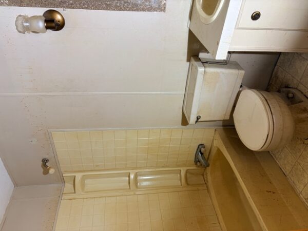 IMG_7213 21.17+/- ACRES IN TWO TRACTS - HOME-POND-BUILDING SITE