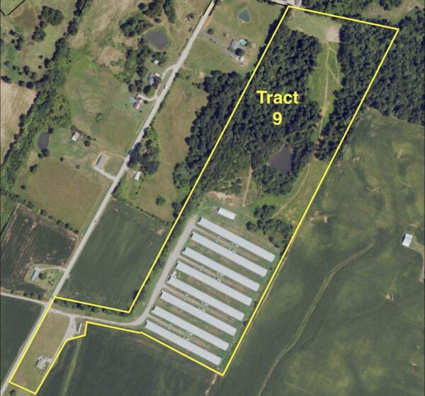 Screenshot 170+/- ACRES-50 POULTRY HOUSES-5 HOMES-OFFERED IN 9 TRACTS
