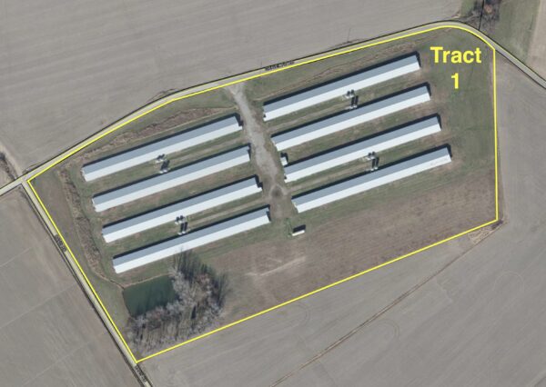 Screenshot 170+/- ACRES-50 POULTRY HOUSES-5 HOMES-OFFERED IN 9 TRACTS