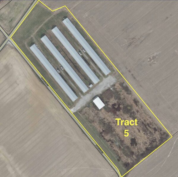 Screenshot 170+/- ACRES-50 POULTRY HOUSES-5 HOMES-OFFERED IN 9 TRACTS