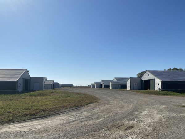 tract 1 gravel pit 170+/- ACRES-50 POULTRY HOUSES-5 HOMES-OFFERED IN 9 TRACTS