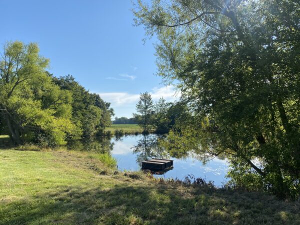 tract 3 pond 170+/- ACRES-50 POULTRY HOUSES-5 HOMES-OFFERED IN 9 TRACTS