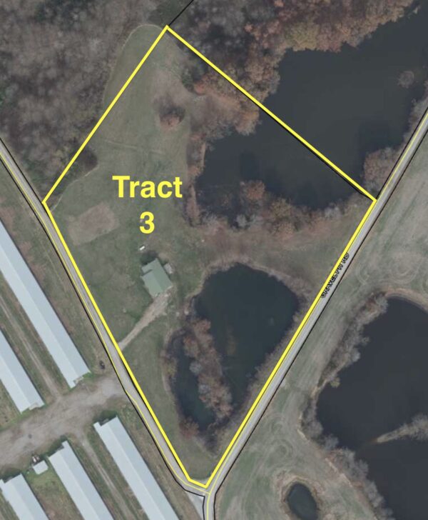 Screenshot 170+/- ACRES-50 POULTRY HOUSES-5 HOMES-OFFERED IN 9 TRACTS