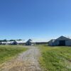 tract 6 170+/- ACRES-50 POULTRY HOUSES-5 HOMES-OFFERED IN 9 TRACTS