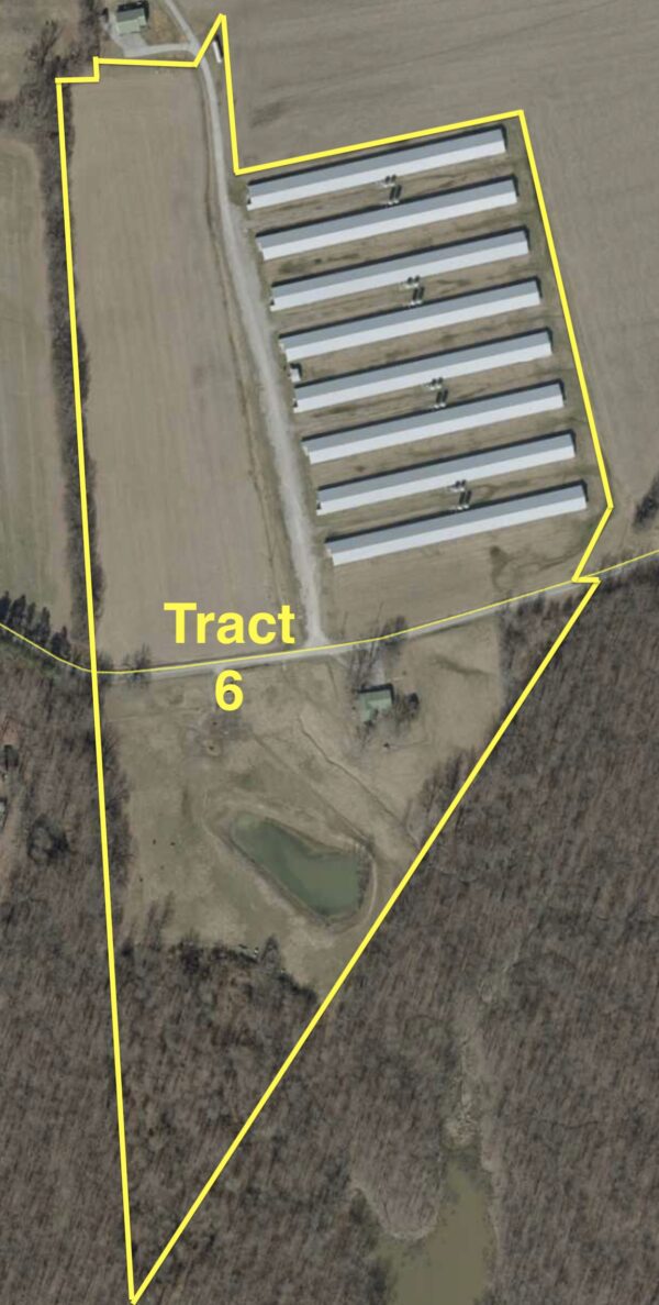 Screenshot 170+/- ACRES-50 POULTRY HOUSES-5 HOMES-OFFERED IN 9 TRACTS