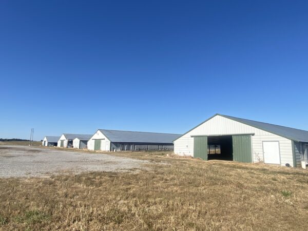 tract5 170+/- ACRES-50 POULTRY HOUSES-5 HOMES-OFFERED IN 9 TRACTS
