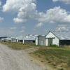 unnamed 170+/- ACRES-50 POULTRY HOUSES-5 HOMES-OFFERED IN 9 TRACTS