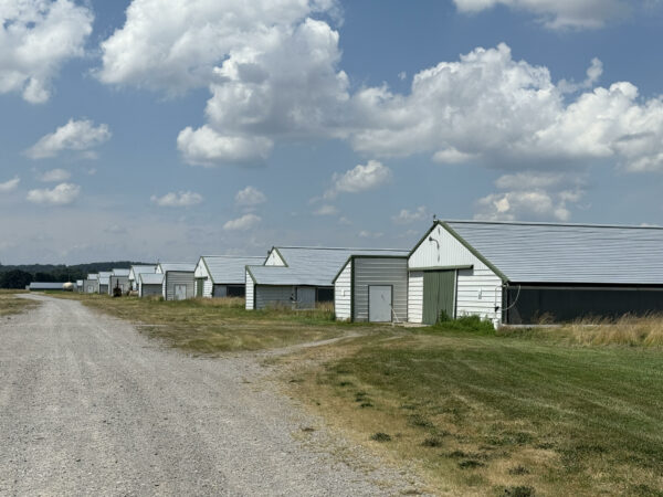 unnamed 170+/- ACRES-50 POULTRY HOUSES-5 HOMES-OFFERED IN 9 TRACTS