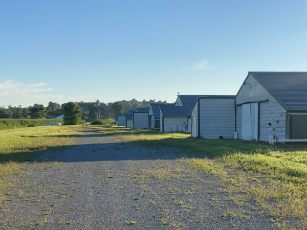 unnamed (1) 170+/- ACRES-50 POULTRY HOUSES-5 HOMES-OFFERED IN 9 TRACTS