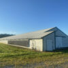 unnamed 170+/- ACRES-50 POULTRY HOUSES-5 HOMES-OFFERED IN 9 TRACTS