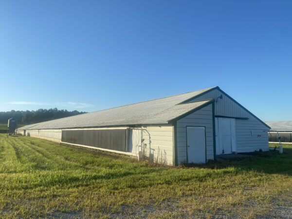 unnamed 170+/- ACRES-50 POULTRY HOUSES-5 HOMES-OFFERED IN 9 TRACTS