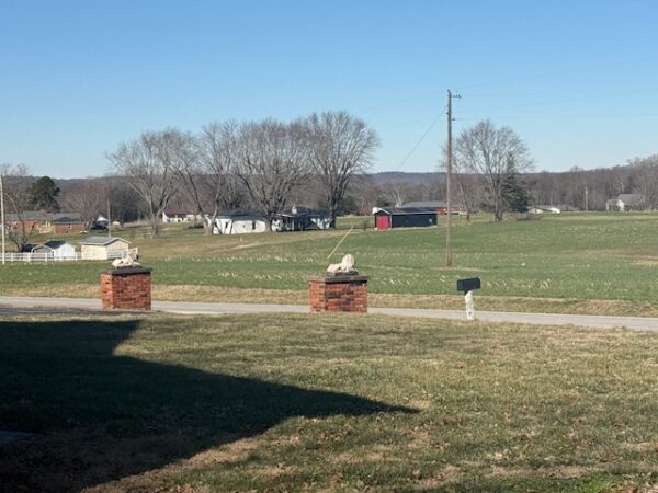 2 NICE RESIDENTIAL PROPERTIES