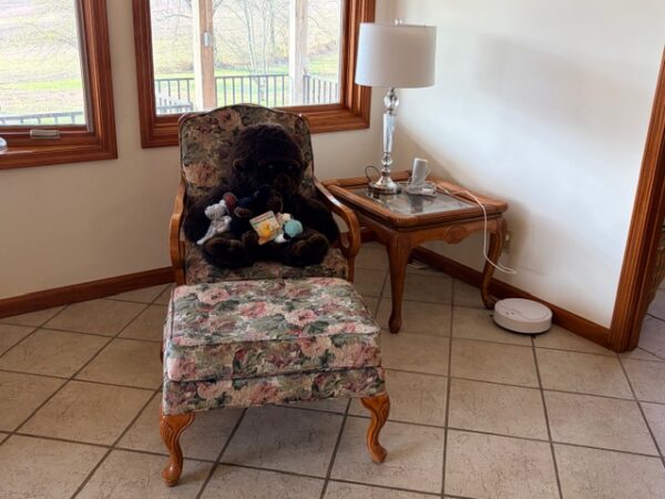 LIVE AUCTION - BEAUTIFUL BRICK HOME ON 3.21+/- ACRES - FURNISHINGS & TOOLS