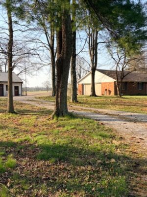 LIVE AUCTION - BEAUTIFUL BRICK HOME ON 3.21+/- ACRES - FURNISHINGS & TOOLS