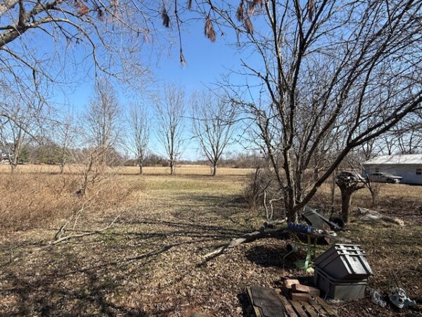 2 SINGLE FAMILY HOMES OR INVESTMENT PROPERTIES