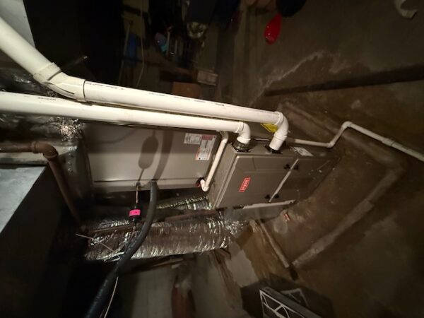 2 SINGLE FAMILY HOMES OR INVESTMENT PROPERTIES