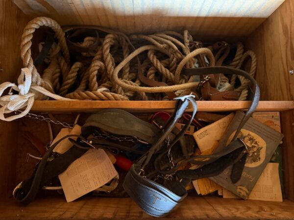 LIVE AUCTION - BEAUTIFUL BRICK HOME ON 3.21+/- ACRES - FURNISHINGS & TOOLS