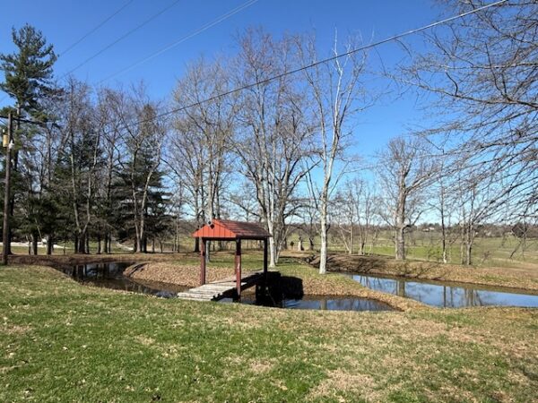 LIVE AUCTION - BEAUTIFUL BRICK HOME ON 3.21+/- ACRES - FURNISHINGS & TOOLS