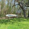 2 BEDROOM, 1 BATH HOME ON 1.65+/- ACRE LOT