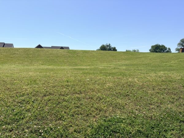 IMG_2141 1.86 ACRE RIVERFRONT LOT - 1709 & 1713 Rivers Edge Dr., Henderson, KY 42420