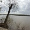 4.14-ACRE RIVERFRONT LOT - Trumbo Rd., Morganfield, KY 42437