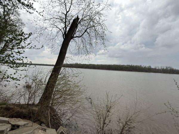 4.14-ACRE RIVERFRONT LOT - Trumbo Rd., Morganfield, KY 42437