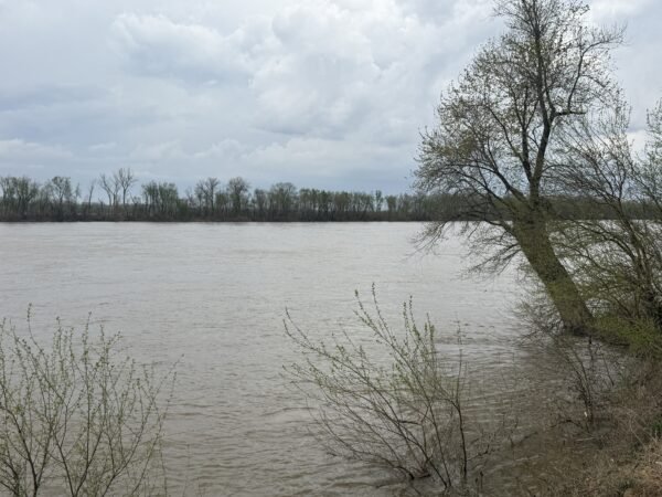 4.14-ACRE RIVERFRONT LOT - Trumbo Rd., Morganfield, KY 42437