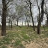 4.14-ACRE RIVERFRONT LOT - Trumbo Rd., Morganfield, KY 42437
