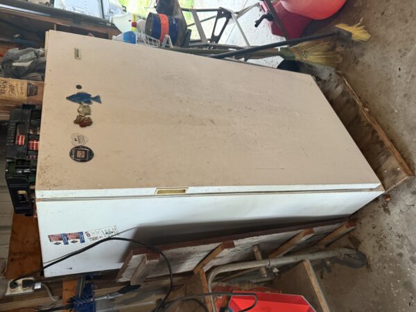 LIVE AUCTION - FURNISHINGS - DECOR - TOOLS - SHOP ITEMS