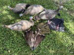 UTV - MOWER - AMMO - HUNTING GEAR - TOOLS