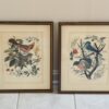 COLLECTIBLES & ANTIQUES