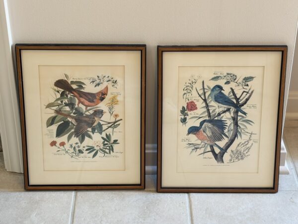 COLLECTIBLES & ANTIQUES