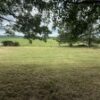 BEAUTIFUL BRICK HOME ON .81+/- ACRE LOT
