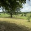 BEAUTIFUL BRICK HOME ON .81+/- ACRE LOT