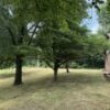 BEAUTIFUL BRICK HOME ON .81+/- ACRE LOT