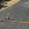GOLF CART - TOOLS - DECOR - COLLECTIBLES