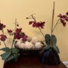 GOLF CART - TOOLS - DECOR - COLLECTIBLES