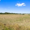 90+/- ACRES - 5 TRACTS - ROW CROP - HOME SITES - MINI FARMS