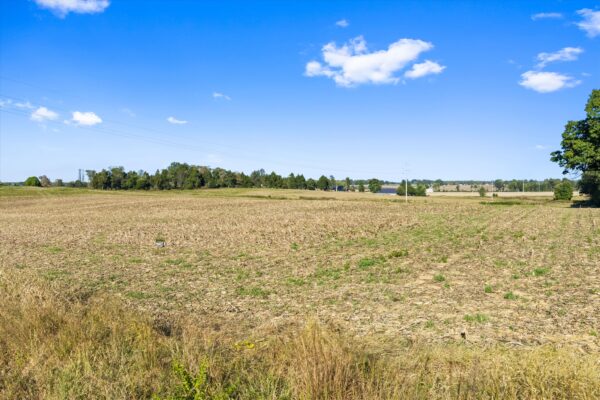 90+/- ACRES - 5 TRACTS - ROW CROP - HOME SITES - MINI FARMS