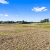 90+/- ACRES - 5 TRACTS - ROW CROP - HOME SITES - MINI FARMS