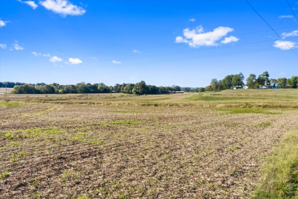 90+/- ACRES - 5 TRACTS - ROW CROP - HOME SITES - MINI FARMS