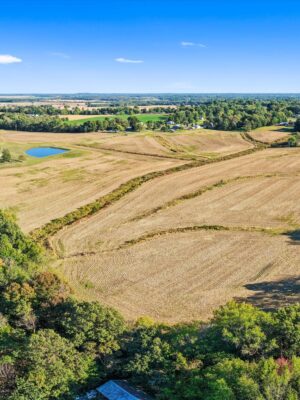 12-0 Lyons Ln Sacramento KY 42372-20261021-12 90+/- ACRES - 5 TRACTS - ROW CROP - HOME SITES - MINI FARMS